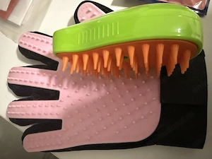 Motan alb de vânzare plus toate cele necesare,se numește Tommy este vaccinat și deparazitat,carnet. - imagine 3