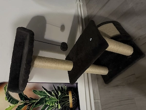 Motan alb de vânzare plus toate cele necesare,se numește Tommy este vaccinat și deparazitat,carnet. - imagine 2