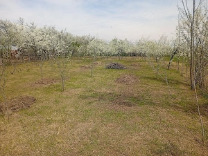 vnd casa la rosu - imagine 9