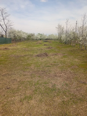 vnd casa la rosu - imagine 10