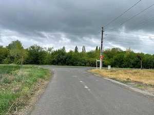 611 mp, ideali pentru viitorul familiei tale! Fervenția II - Apuseni Dumbrăvița (Timiș) - imagine 3