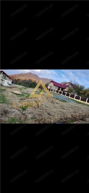 Ocazie Teren in Baia Mare 700 MP str Razoarelor - imagine 3