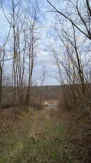 Teren cu panorama superba + padure Albota  Gura Văii  Arges - imagine 6