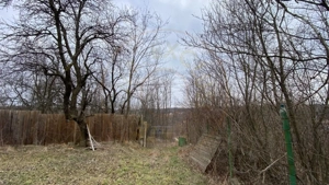 Teren cu panorama superba + padure Albota  Gura Văii  Arges - imagine 5