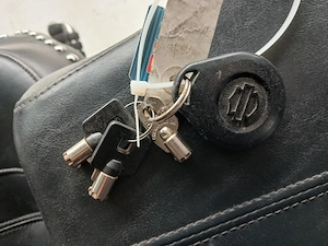 Harley Davidson softail heritage - imagine 3