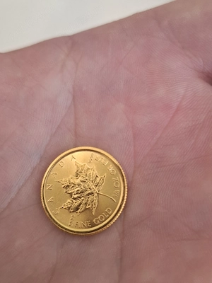 Moneda 24k,8gr  numismatica