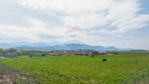 Teren intravilan 13.300 mp – Brașov | 0% COMISION - imagine 3