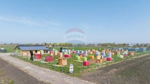 Teren intravilan 13.300 mp – Brașov | 0% COMISION - imagine 10