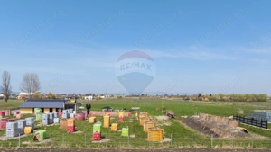 Teren intravilan 13.300 mp – Brașov | 0% COMISION - imagine 8