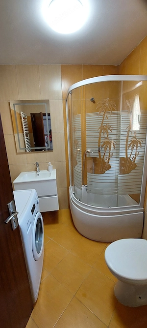 PROPRIETAR, inchiriez casa P+M in Dumbravita - imagine 4