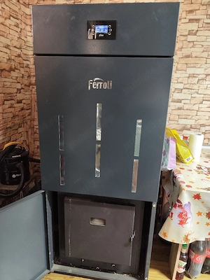 centrala peleti Ferroli 