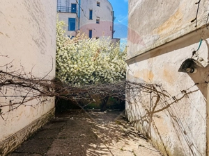 VILA ULTRACENTRALA IDEAL  INVESTITIE - imagine 9