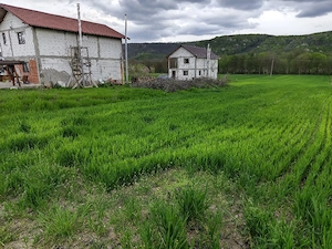 vând teren pentru case 