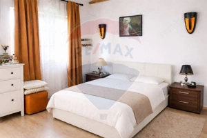Vila la Lacul Snagov deschidere 21 ml,  ponton propriu - imagine 4