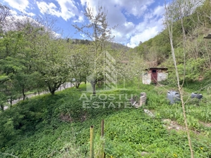 Casa batraneasca cu 2 camere, vedere panoramica, in Toplita, Hunedoara - imagine 4