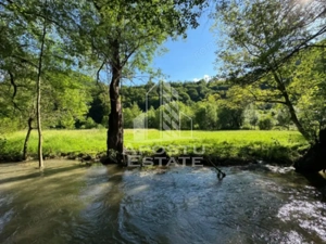 Teren de vanzare pe marginea raului, 1300mp, in Gros, Hunedoara - imagine 3