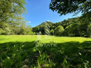 Teren de vanzare pe marginea raului, 1300mp, in Gros, Hunedoara - imagine 2