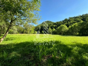 Teren de vanzare pe marginea raului, 1300mp, in Gros, Hunedoara