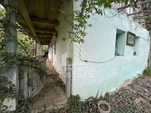 Casa batraneasca cu 2 camere, vedere panoramica, in Toplita, Hunedoara - imagine 7