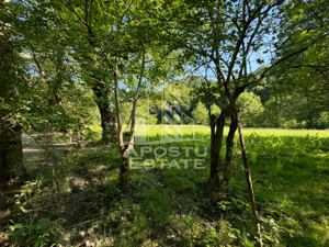 Teren de vanzare pe marginea raului, 1300mp, in Gros, Hunedoara - imagine 6