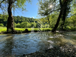 Teren de vanzare pe marginea raului, 1300mp, in Gros, Hunedoara - imagine 4