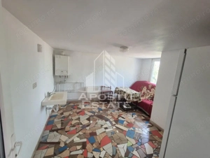 Casa spațioasă, 280 mp utili, Sânnicolau Mare - imagine 5