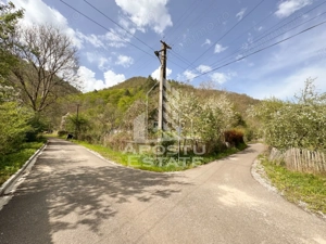 Casa batraneasca cu 2 camere, vedere panoramica, in Toplita, Hunedoara - imagine 12