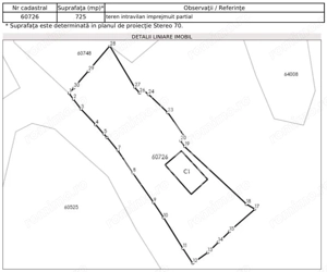Casa batraneasca cu 2 camere, vedere panoramica, in Toplita, Hunedoara - imagine 13