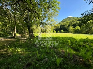 Teren de vanzare pe marginea raului, 1300mp, in Gros, Hunedoara - imagine 7