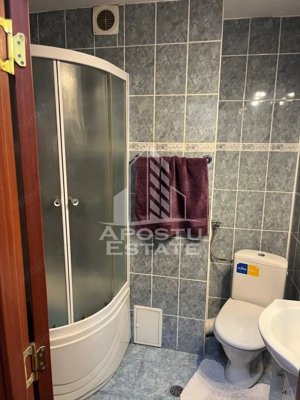 Apartament cu 2 camere de vanzare, Zona Dacia, Timisoara, Timis - imagine 9