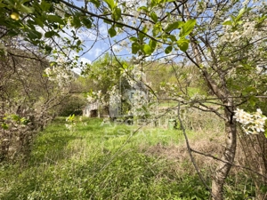 Casa batraneasca cu 2 camere, vedere panoramica, in Toplita, Hunedoara - imagine 11