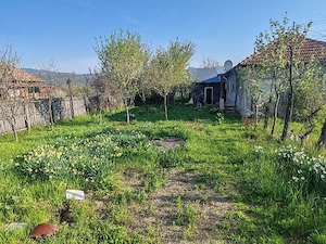 Vând casa cu teren județul Buzău comuna Unguriu sat Ojasca lângă spital Ojasca str. Colonia miniera  - imagine 7