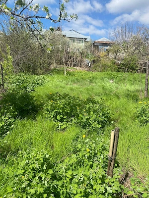 Teren de vanzare Barlad foarte bun