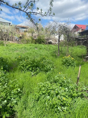 Teren de vanzare Barlad foarte bun - imagine 2