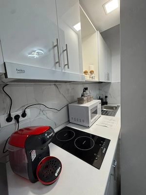 Regim Hotelier Studio Nicolas - imagine 4