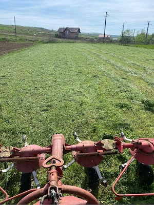 Grebla Pottinger de imprastit fan - imagine 2