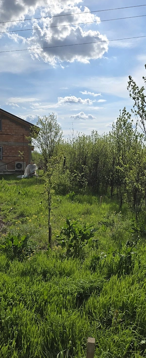  Vînzare teren intravilan  - imagine 3