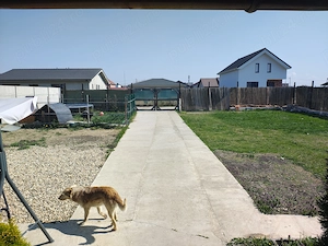 Proprietar!!! Vând teren intravilan in Bujac. - imagine 6