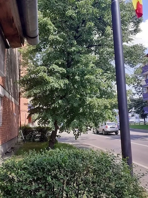 Vânzare apartament
