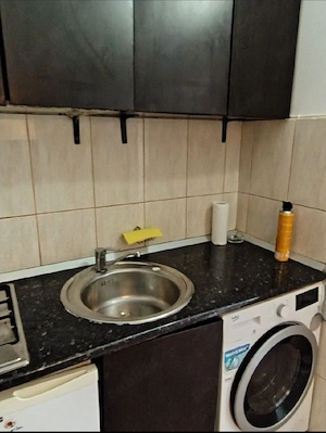 Garsoniera  semidecomandata zona Far km 4  - imagine 5