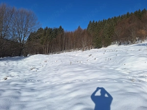 Teren de vanzare Valea Zizinului jud. Brasov - imagine 4