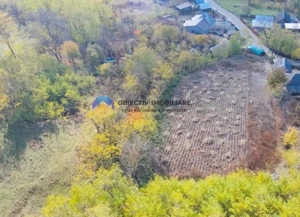 Teren de vânzare 11.766 mp – Costișa, județul Neamț