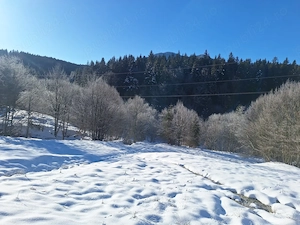 Teren de vanzare Valea Zizinului jud. Brasov - imagine 7