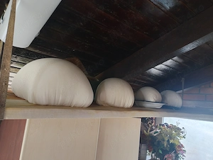 Vând cas și urda de capra 