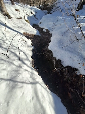 Teren de vanzare Valea Zizinului jud. Brasov - imagine 6