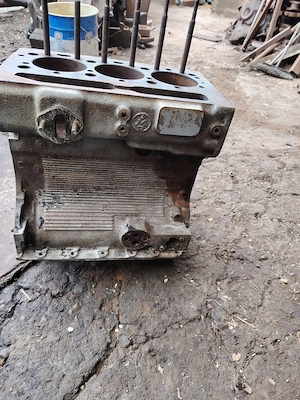 bloc. motor. perkins - imagine 5