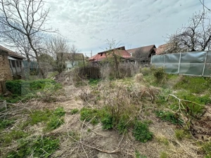 Casa 41 mp utili cu 247mp teren in Brestei - imagine 2