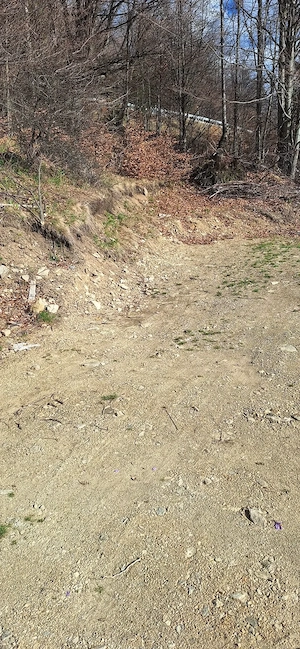 Vand teren zona Cabana Rusu - imagine 4