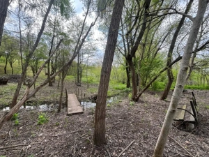 Teren 2117 mp în Malu Mare, cadru natural cu pârâu - imagine 2