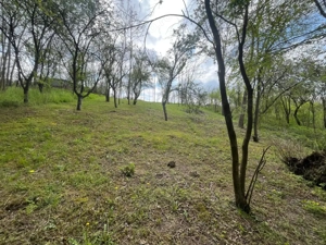 Teren 2117 mp în Malu Mare, cadru natural cu pârâu - imagine 7